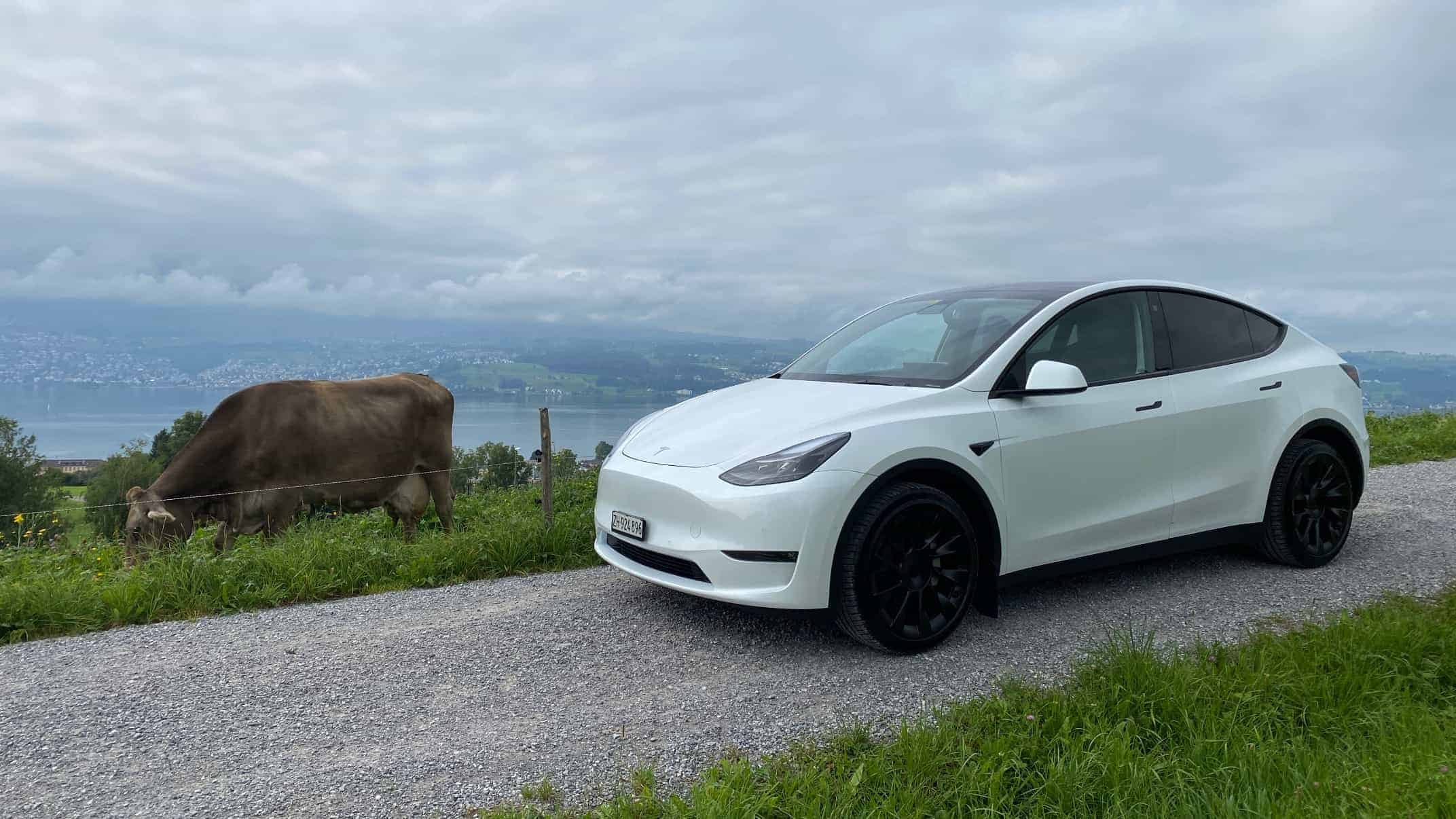 Tesla Model Y Review Organic Techgarage