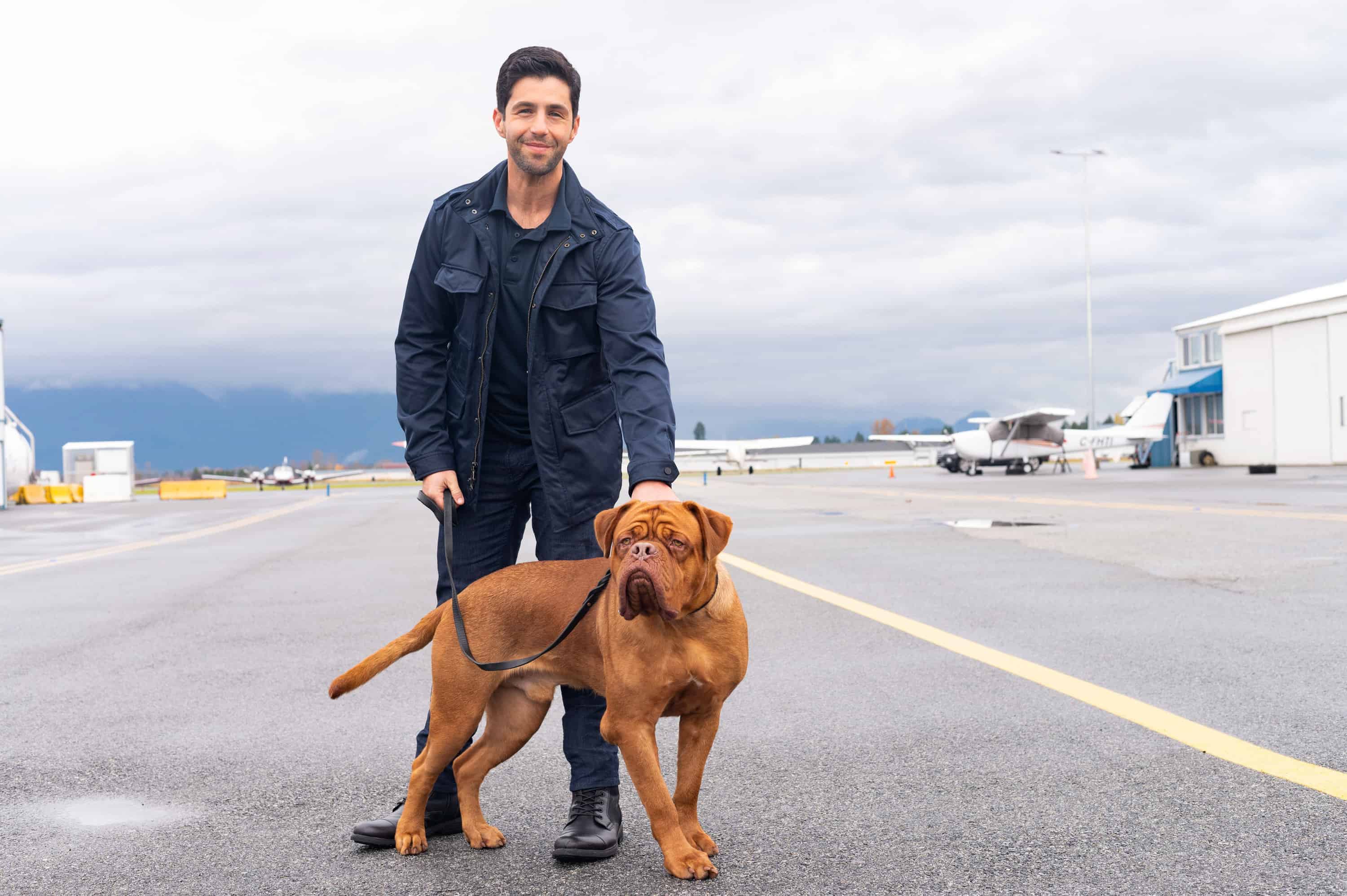 Turner & Hooch (Bild: Disney+)