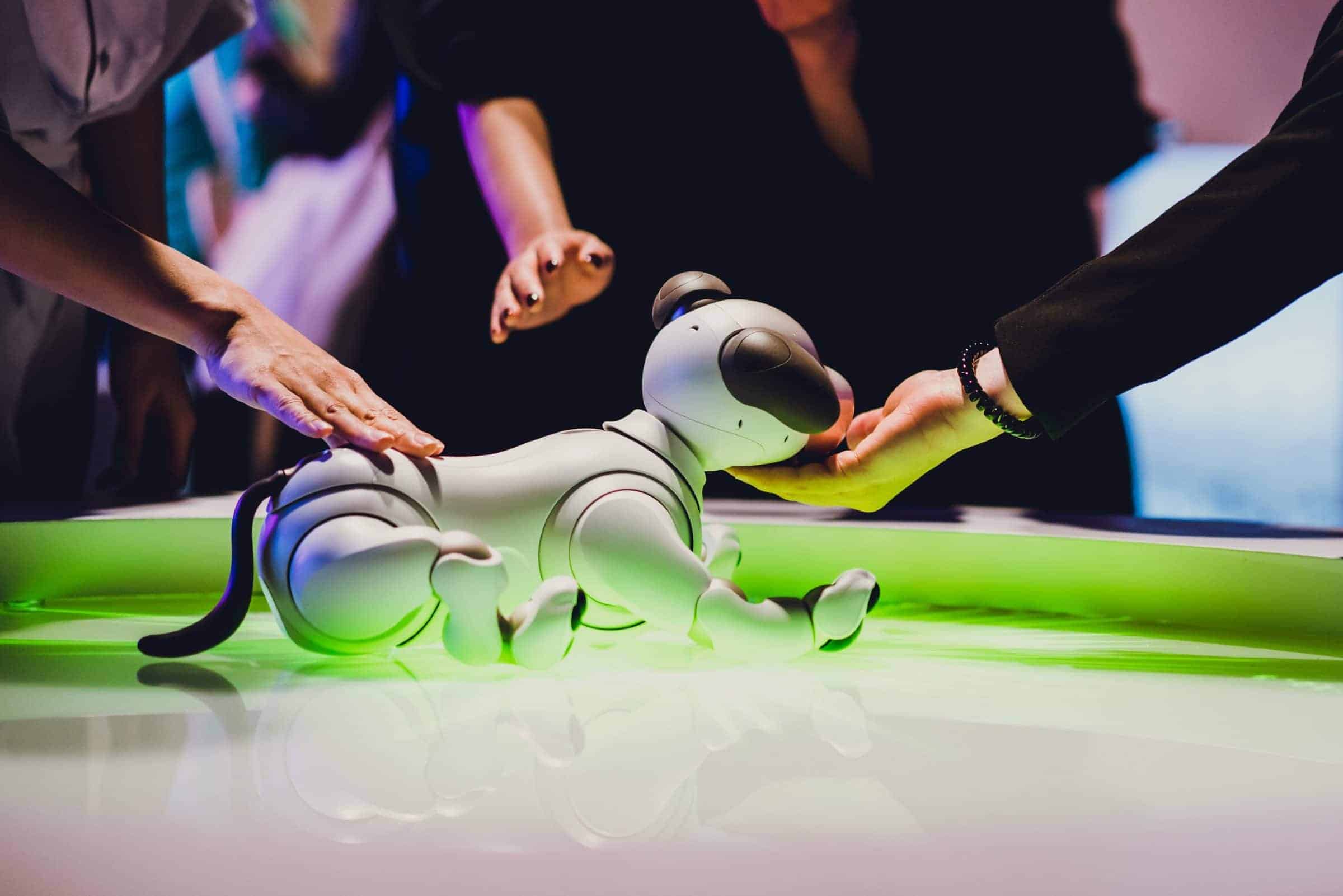 Sony Affinity in Autonomy Affiliation Aibo