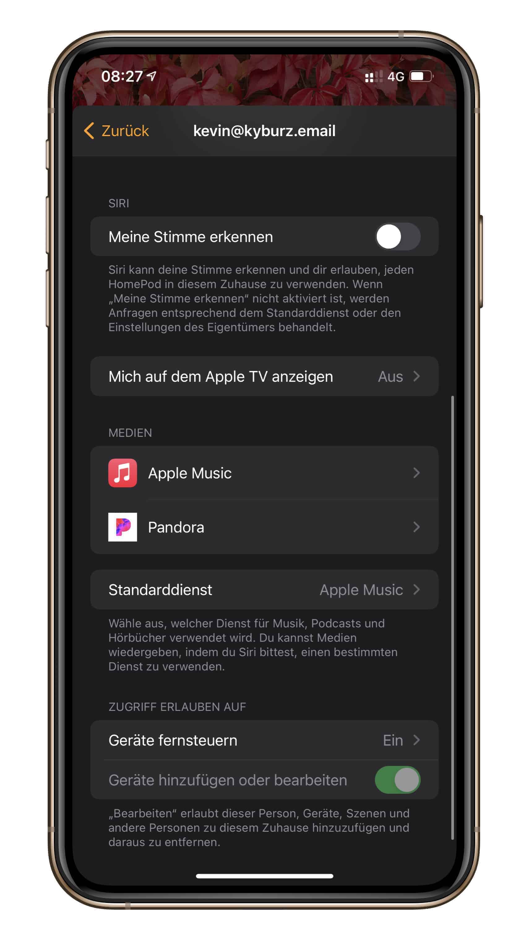HomePod Einstellungen Musikdienst