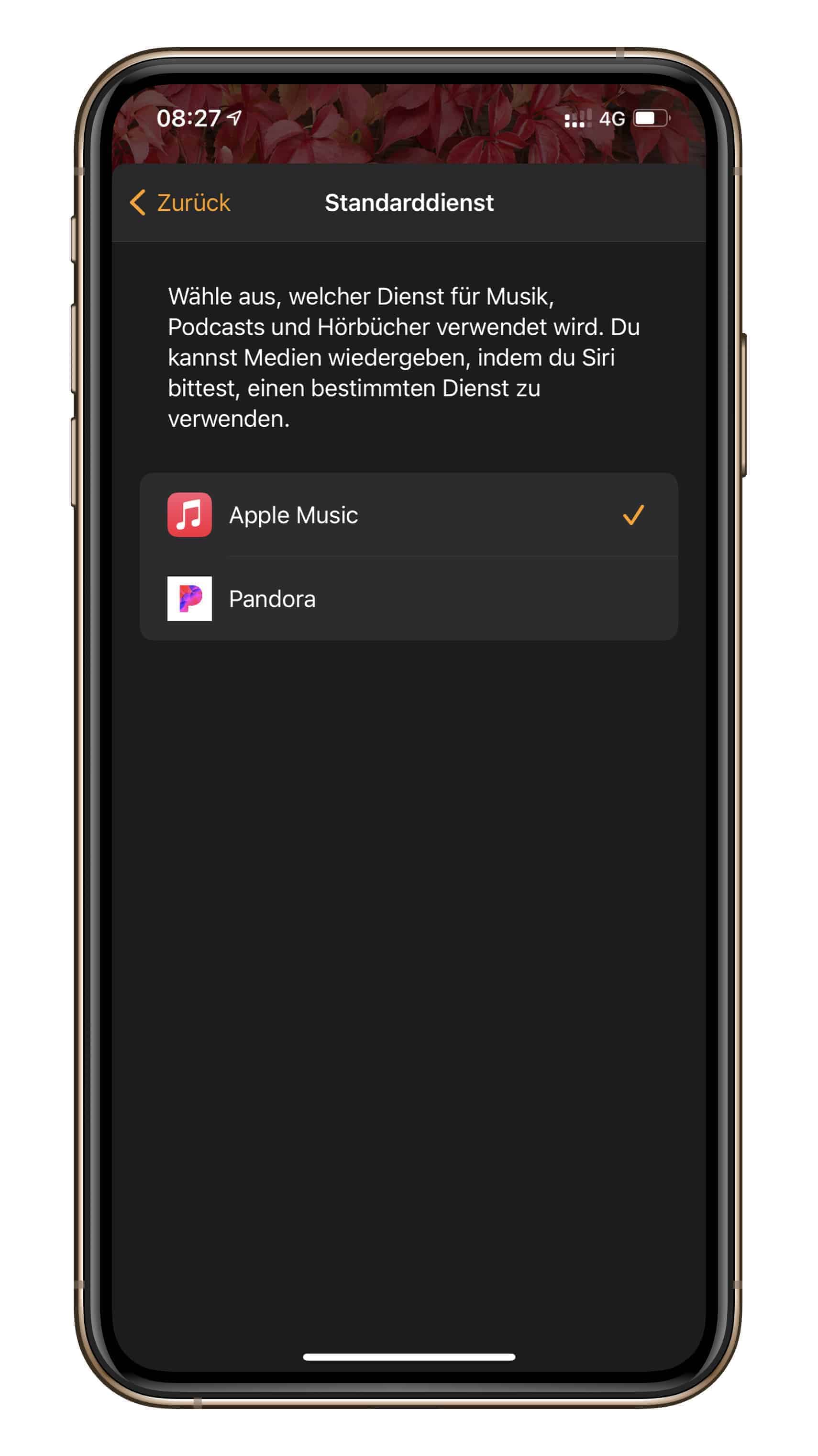 HomePod Einstellungen Standarddienst Musik