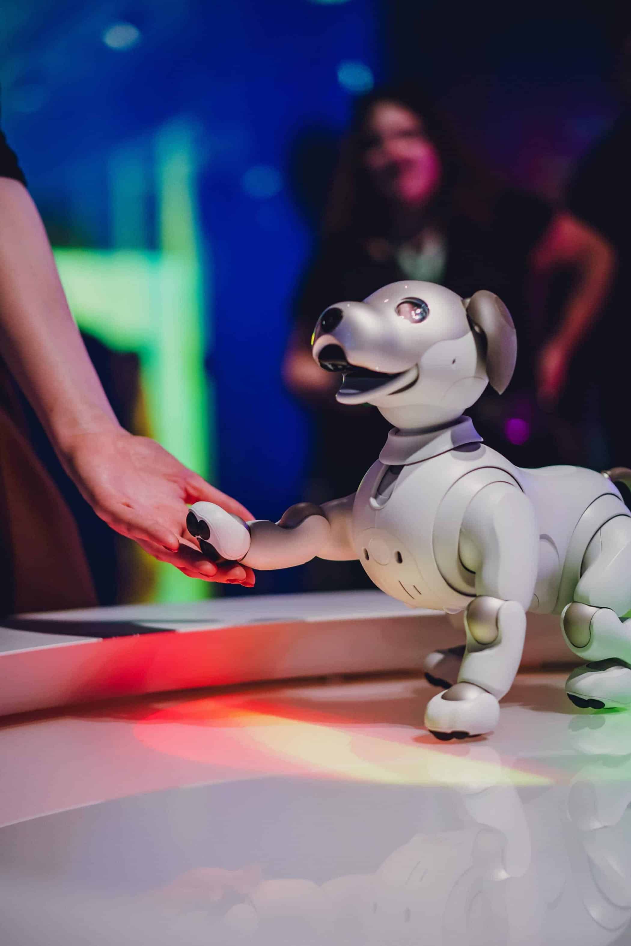Sony Affinity in Autonomy Affiliation Aibo Hight Five
