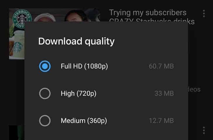 Youtube Premium FHD downloads