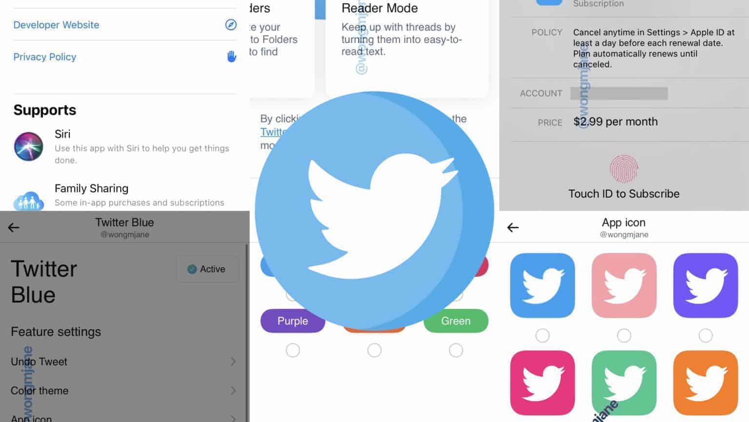 Twitter Blue