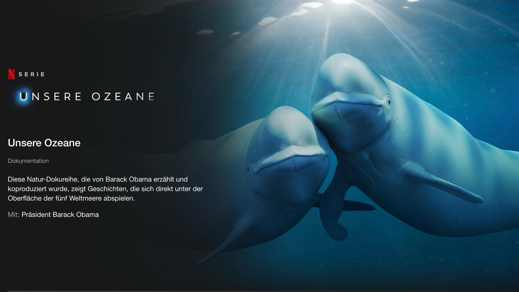 Unsere Ozeane Netflix