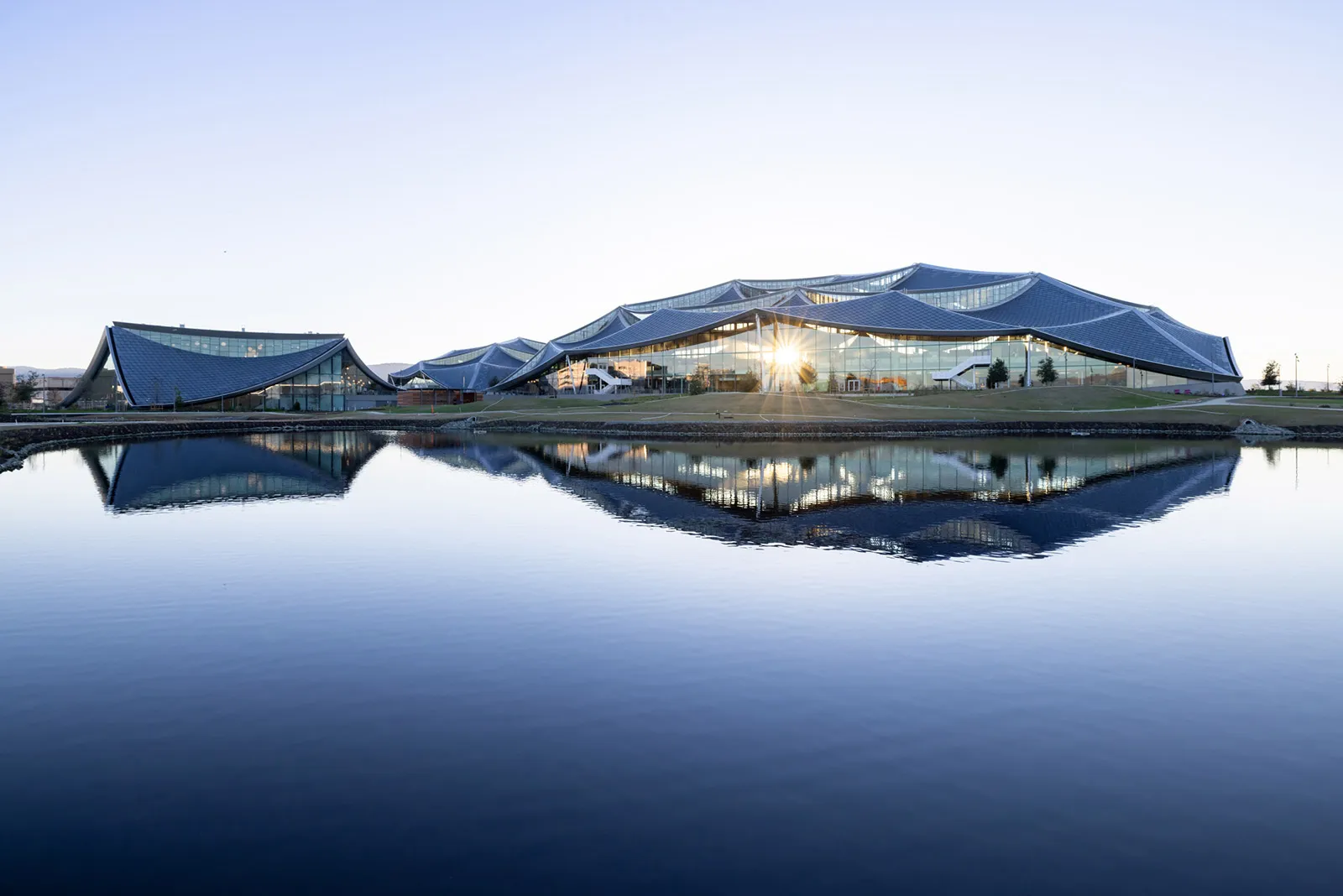 The Google Mountain View Campus