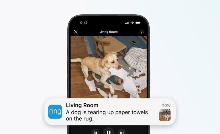 Ring KI-basierte Videozusammenfassungen ein