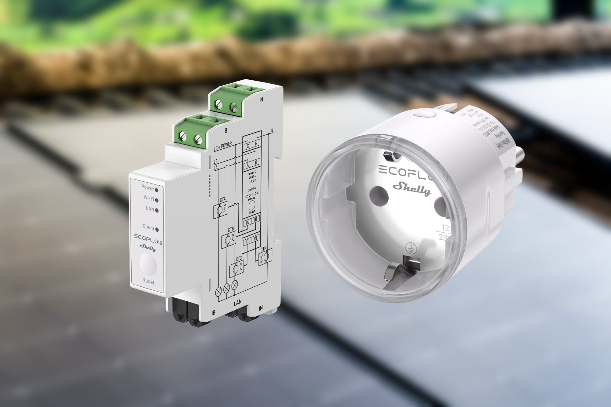 EcoFlow Shelly SmartMeter und Smart Plug
